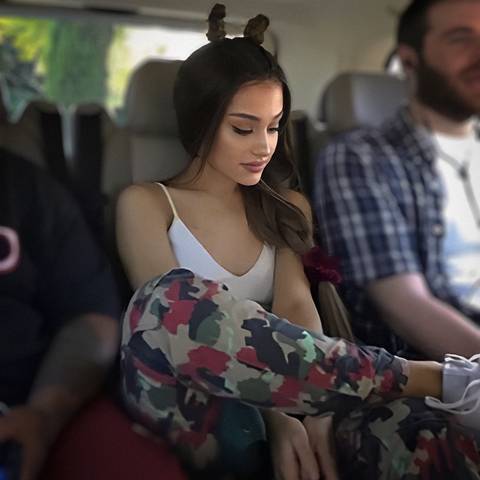 arii